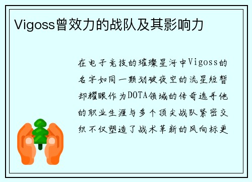 Vigoss曾效力的战队及其影响力