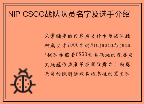 NIP CSGO战队队员名字及选手介绍