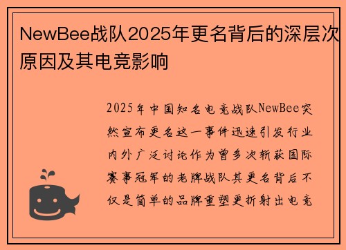 NewBee战队2025年更名背后的深层次原因及其电竞影响